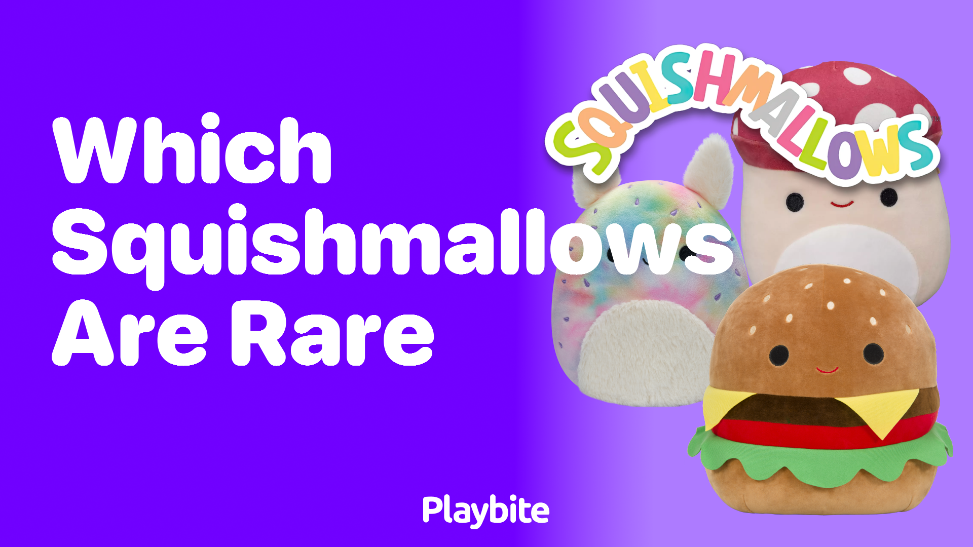 Which Squishmallows Are Rare? Uncovering the Squishy Secrets Playbite