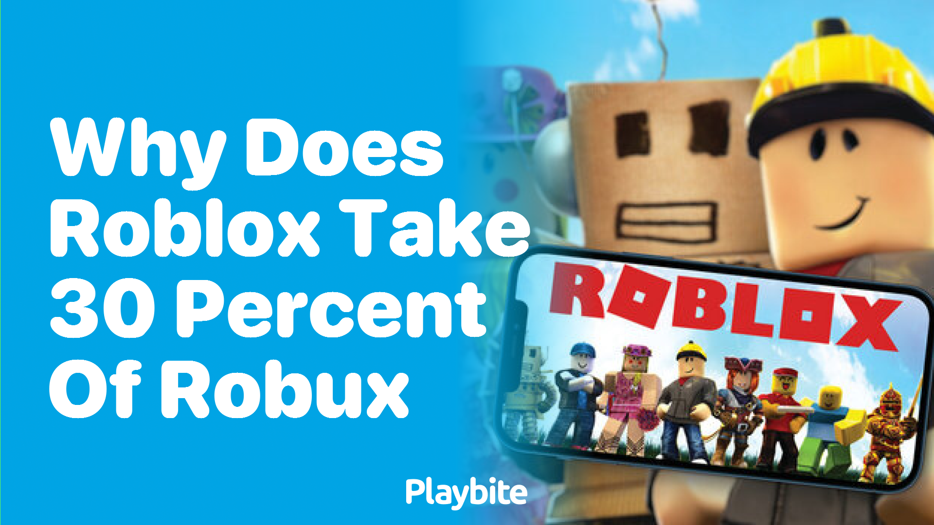 Why Does Roblox Take 30 Percent of Robux Transactions?