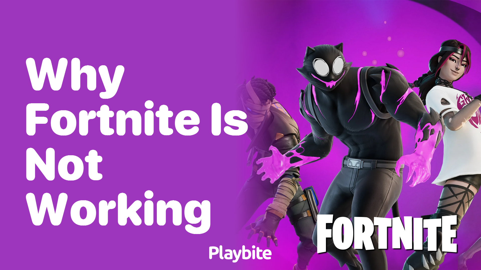 Why Isn&#8217;t Fortnite Working? Let&#8217;s Find Out!
