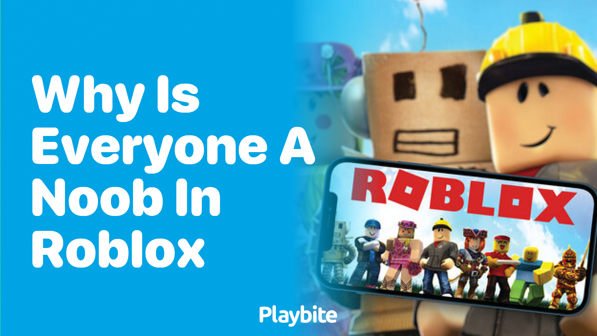 Why Is Everyone a Noob in Roblox?