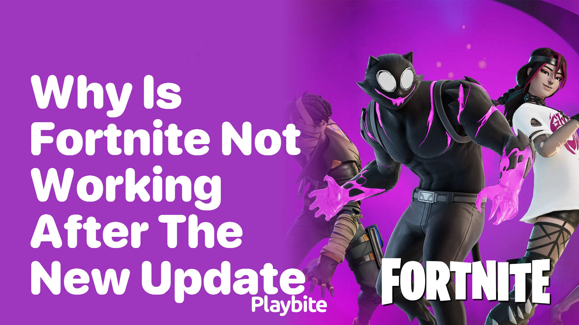 Why Is Fortnite Not Working After the New Update?