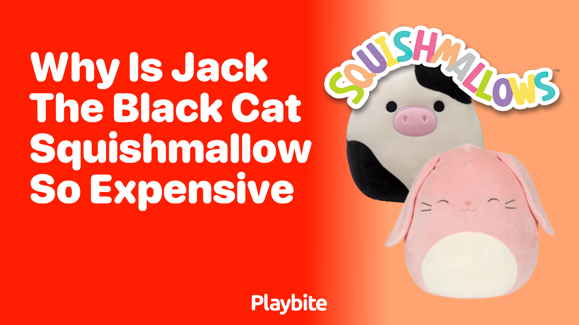 Why Is Jack the Black Cat Squishmallow So Expensive? Playbite