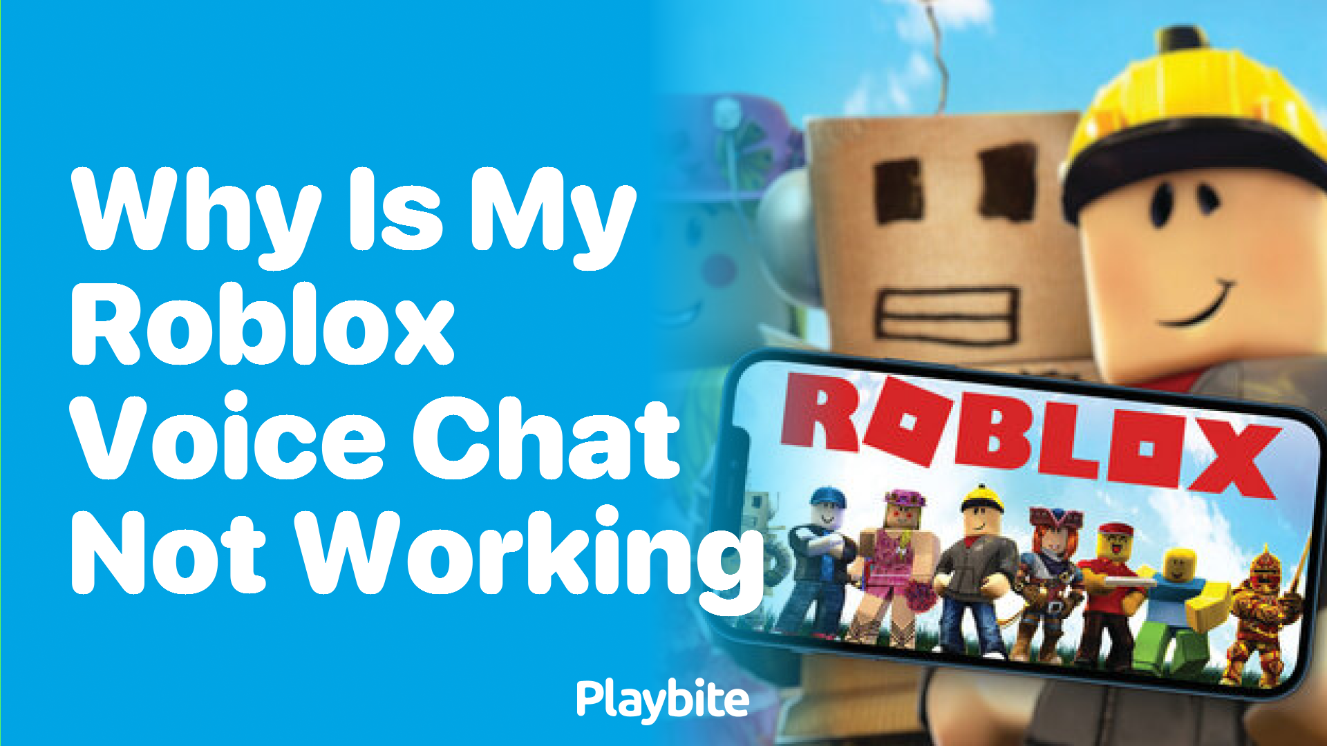 Why Is My Roblox Voice Chat Not Working? Let&#8217;s Find Out!
