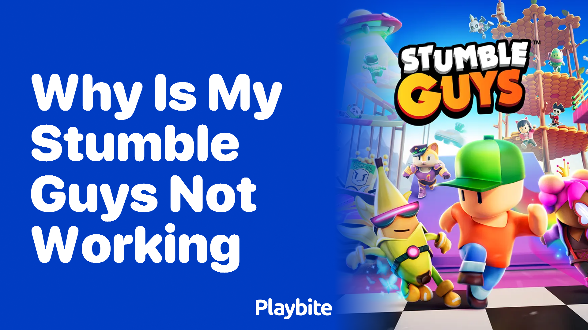 Why Is My Stumble Guys Not Working? Let&#8217;s Troubleshoot!