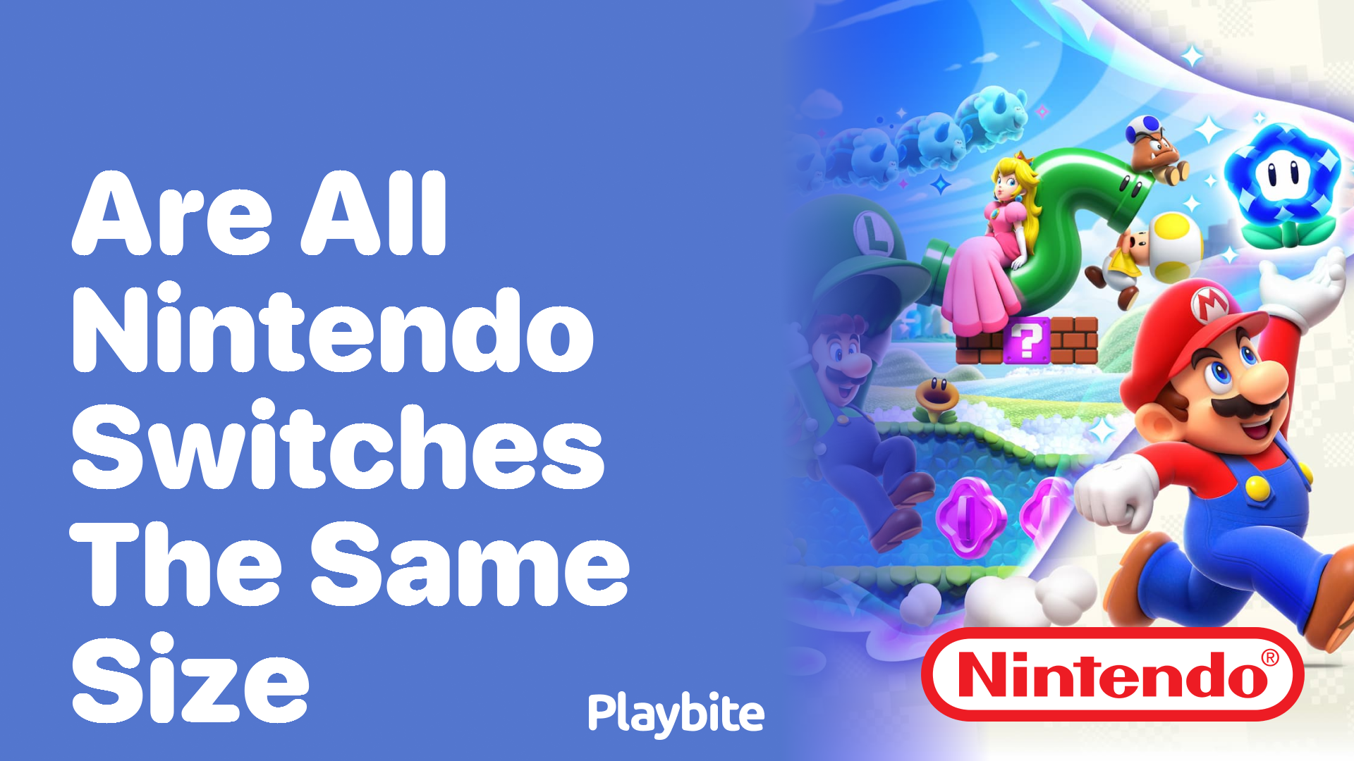 Are All Nintendo Switches the Same Size? Playbite