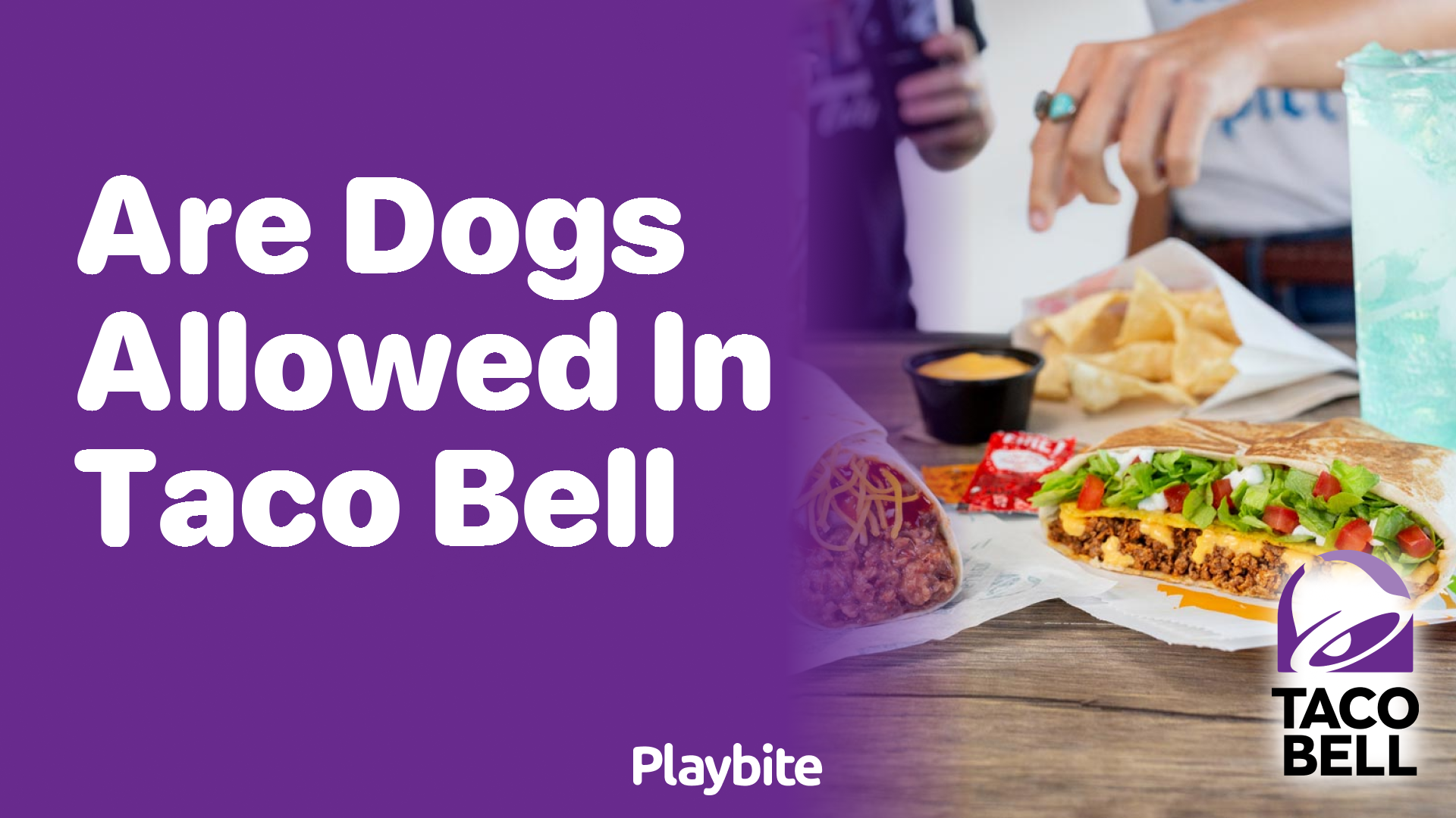 Are Dogs Allowed in Taco Bell? Let’s Find Out!