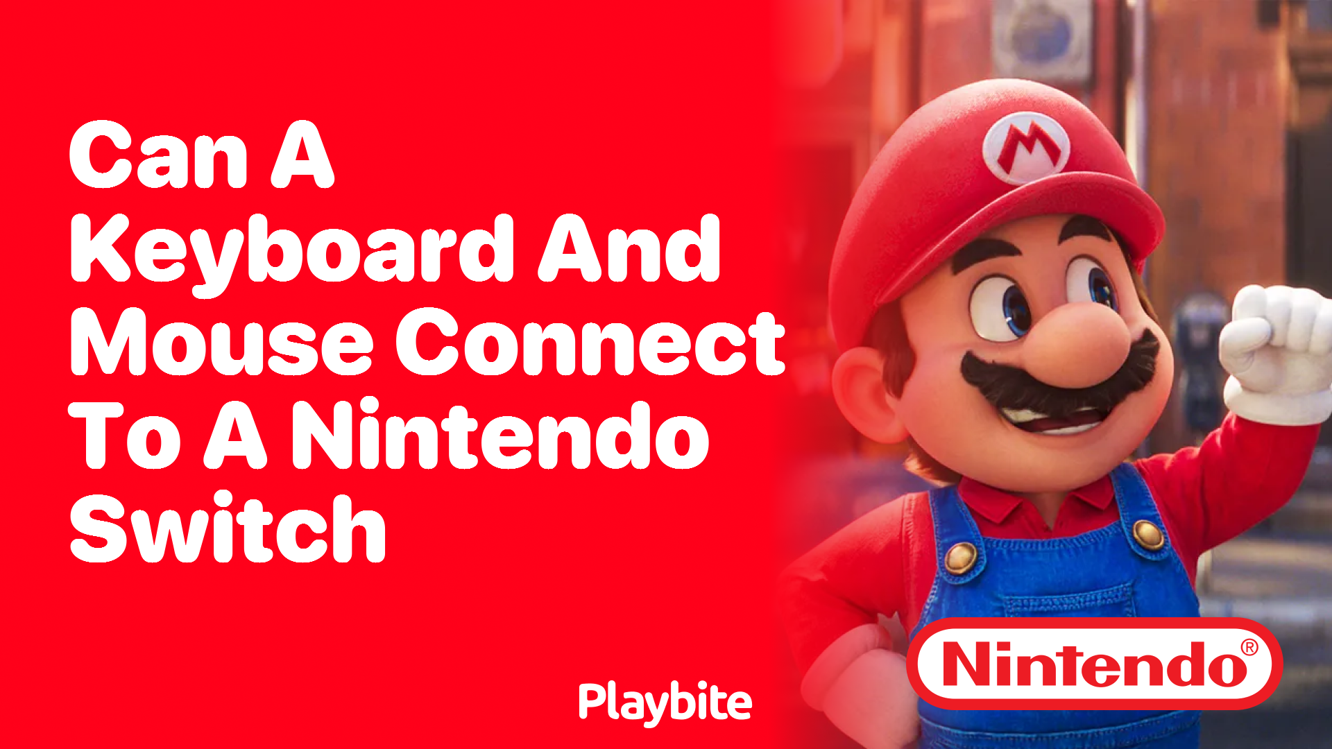 Can a Keyboard and Mouse Connect to a Nintendo Switch?