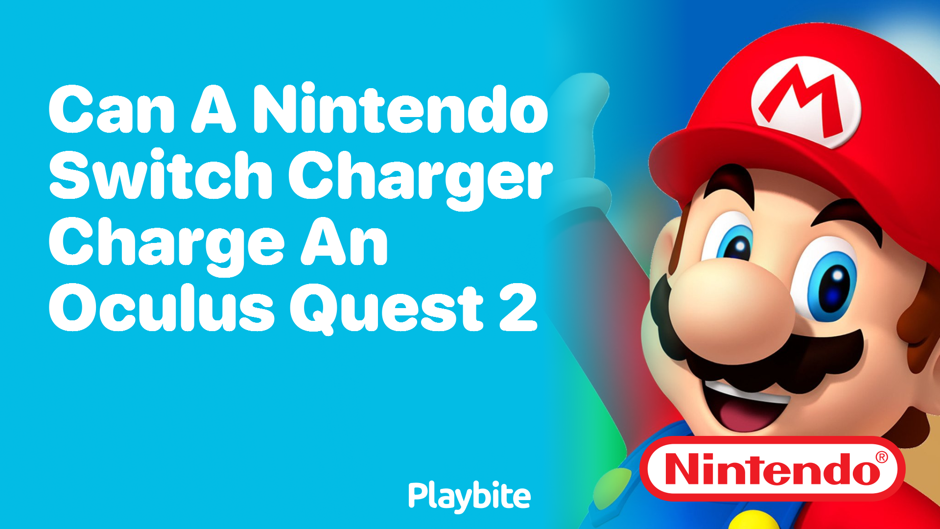 Can a Nintendo Switch Charger Charge an Oculus Quest 2?