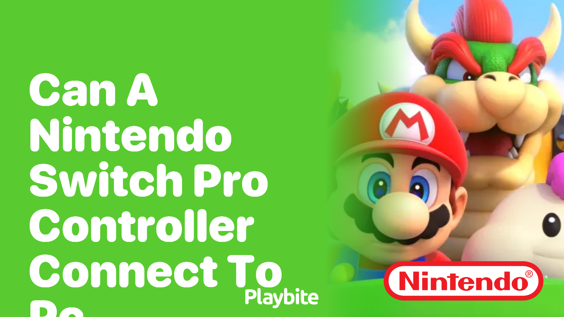 Can a Nintendo Switch Pro Controller Connect to PC?