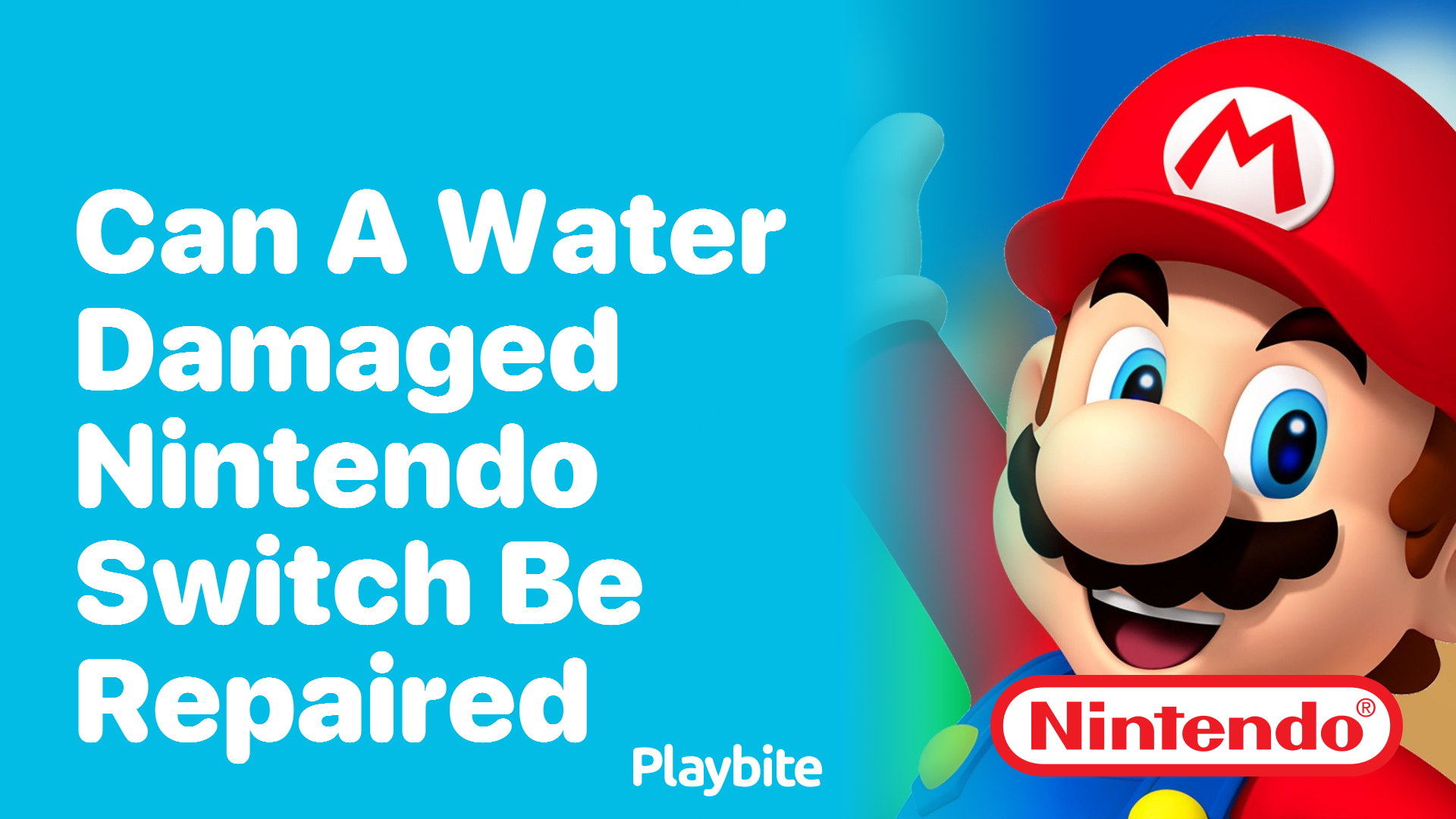 Can a Water Damaged Nintendo Switch Be Repaired?