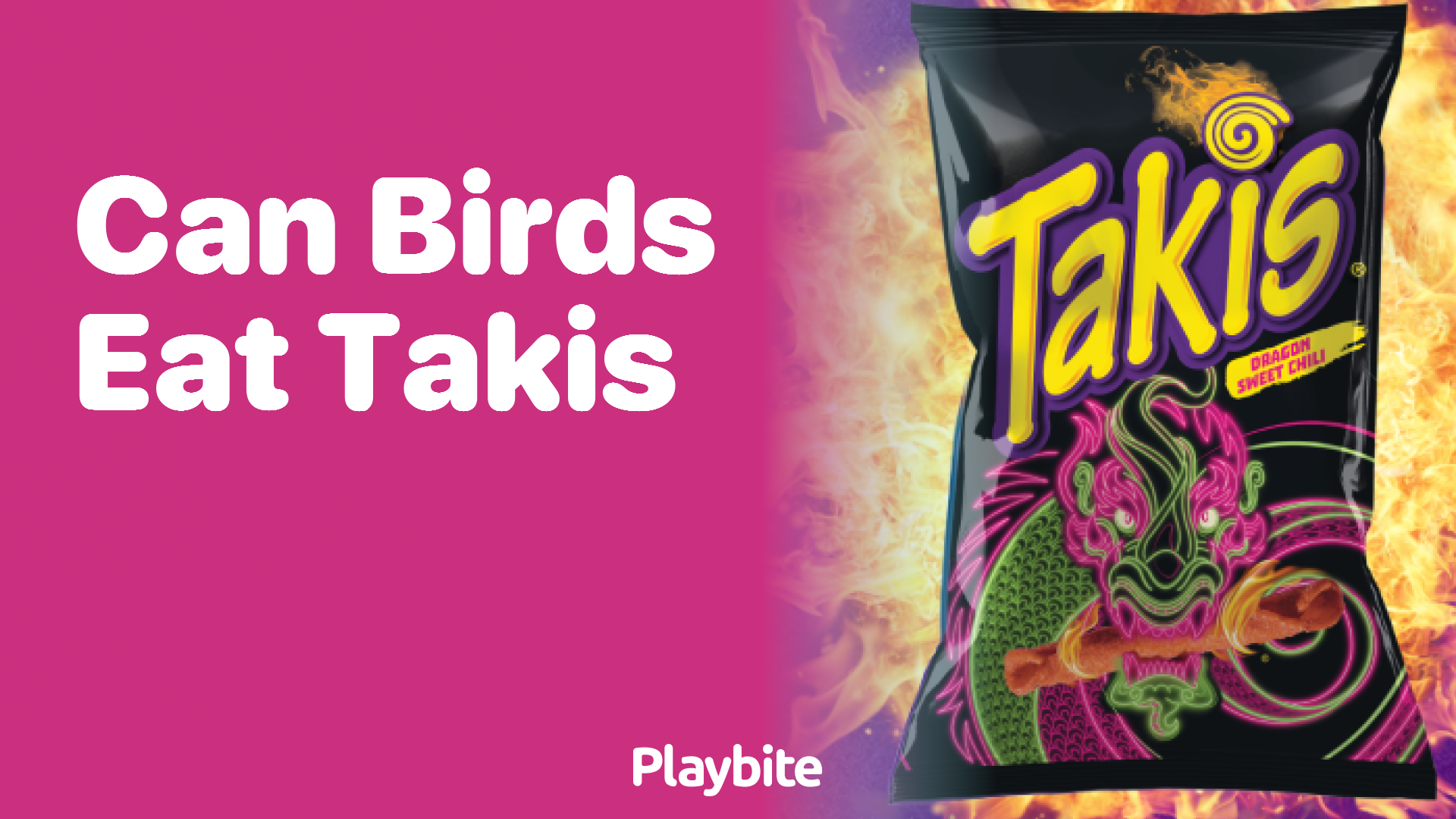Can Birds Eat Takis? Here’s What You Need to Know
