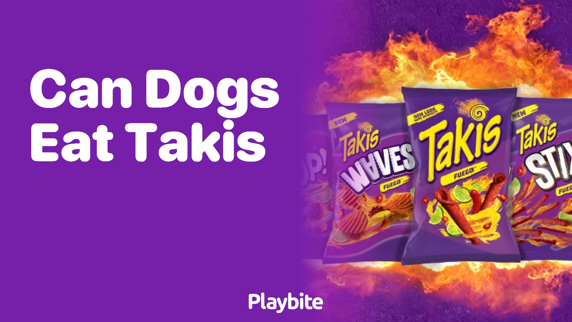 Can Dogs Eat Takis? Here’s What You Need to Know
