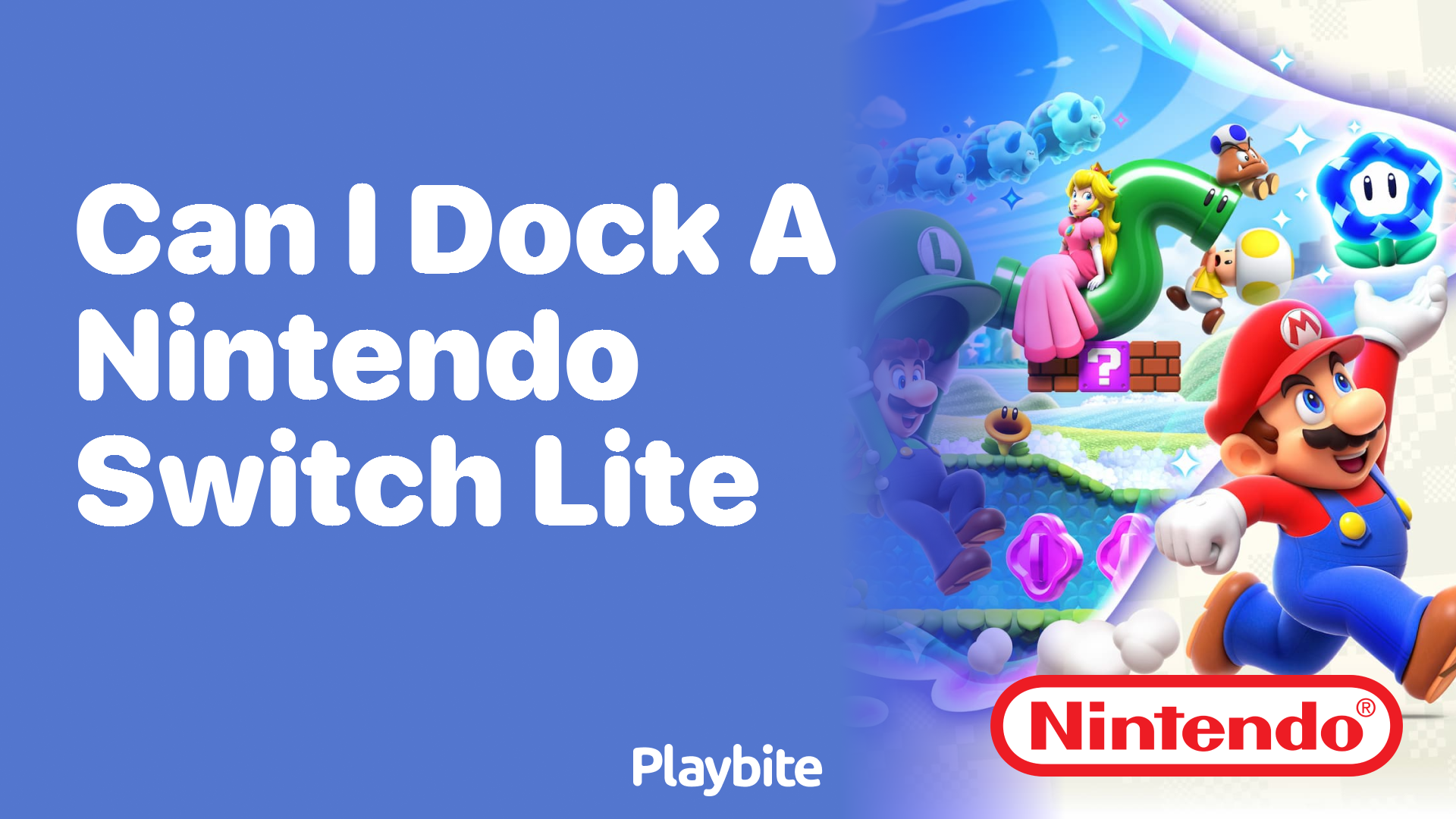 Can I Dock a Nintendo Switch Lite?