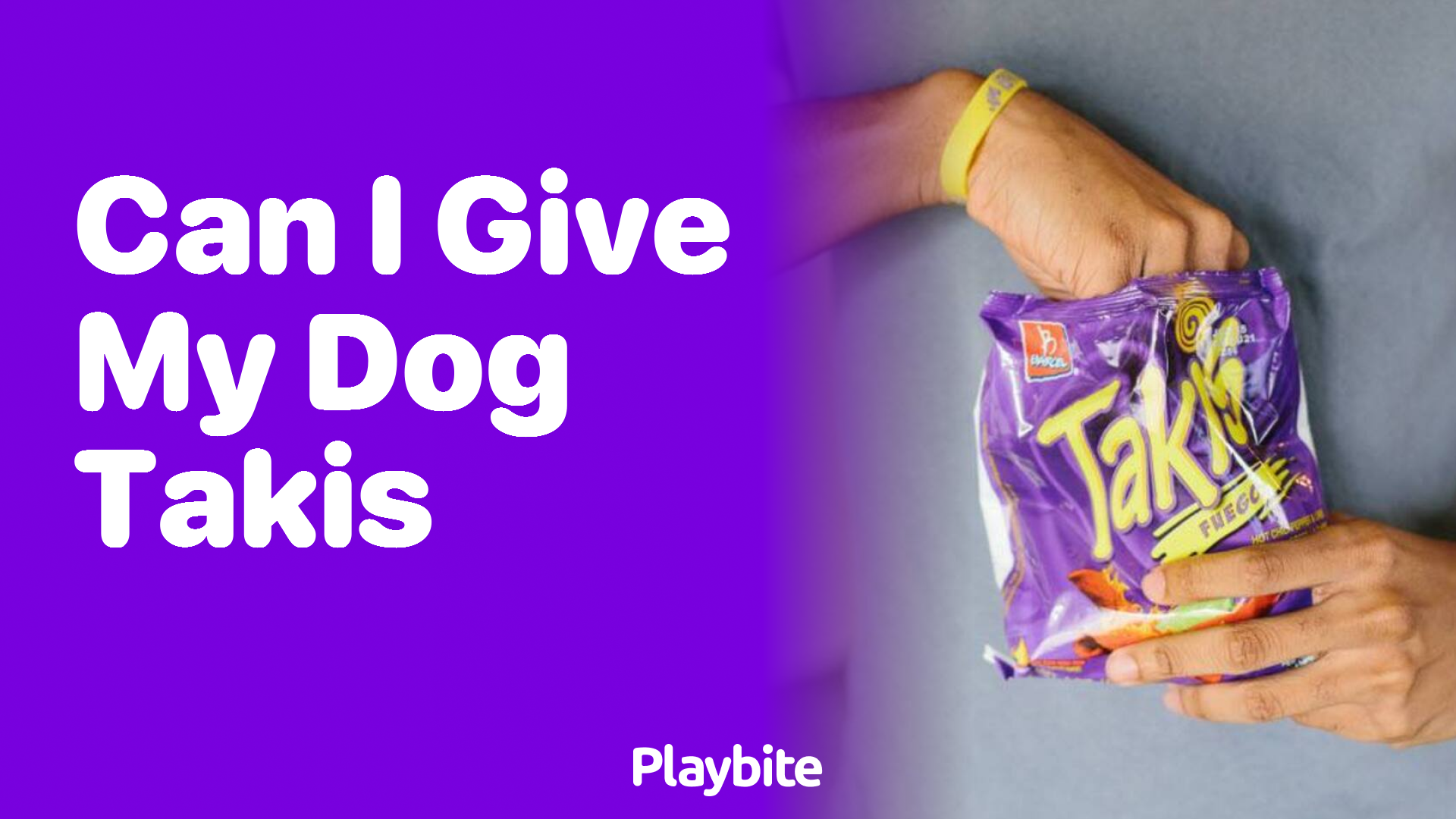 Can I Give My Dog Takis? What Pet Owners Should Know