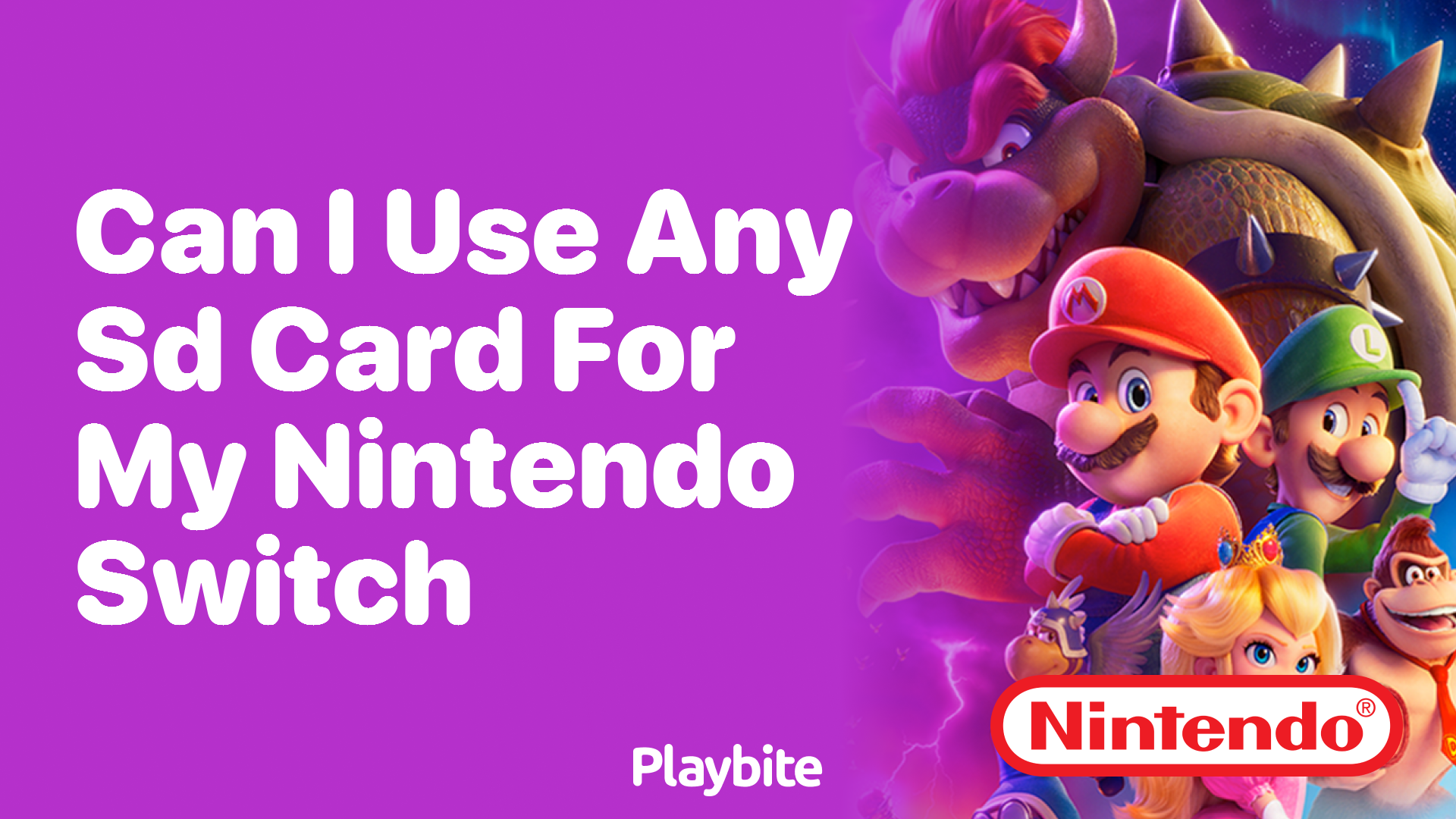 Can I Use Any SD Card for My Nintendo Switch?