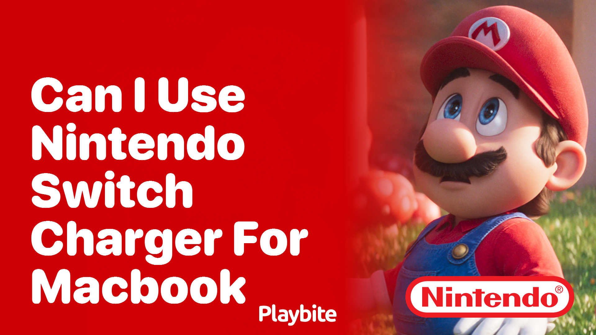 Can I Use a Nintendo Switch Charger for My MacBook?