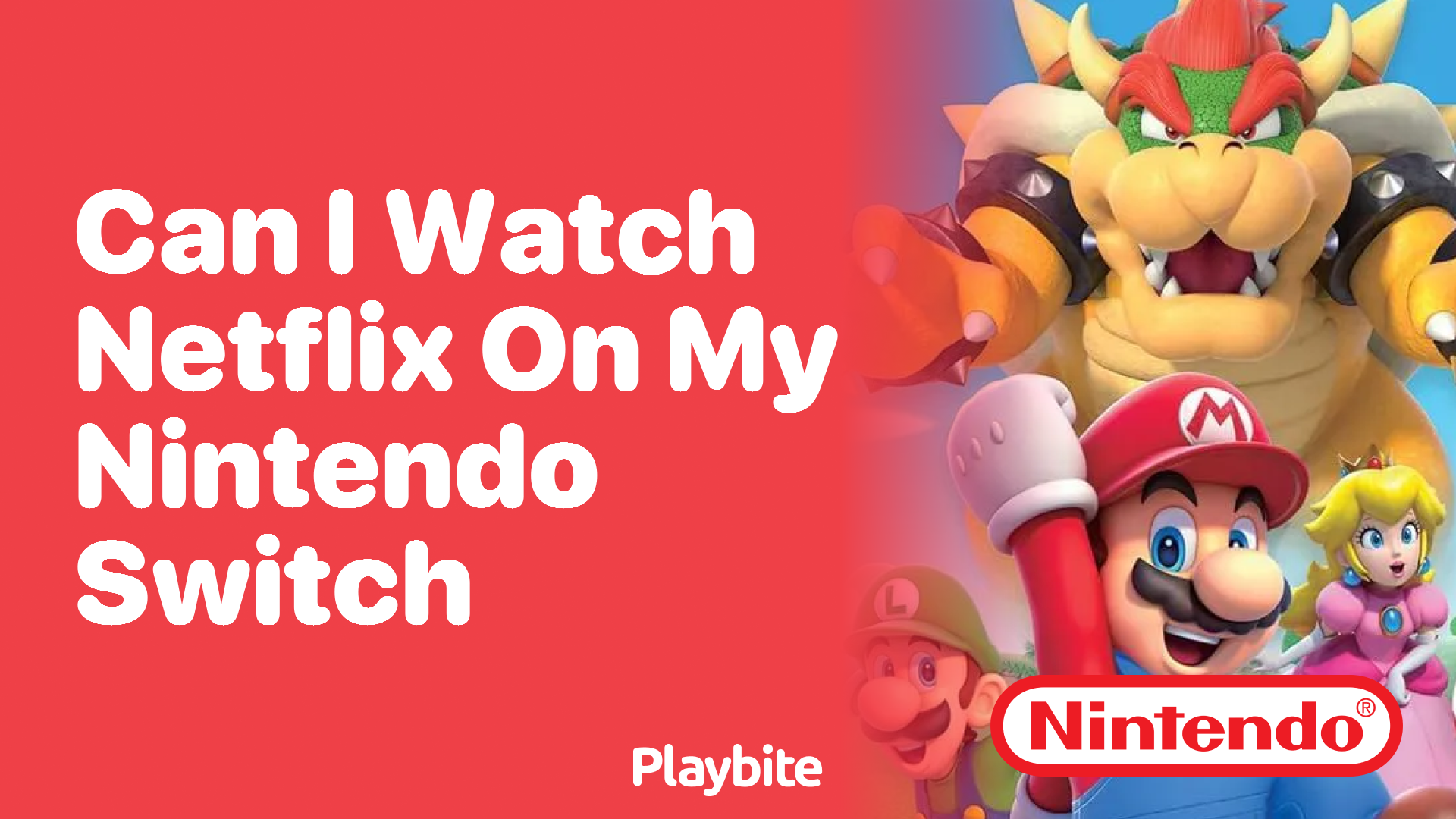 Can I Watch Netflix on My Nintendo Switch?