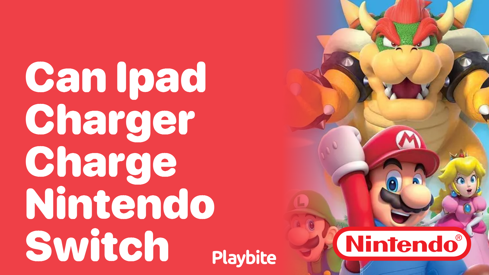 Can an iPad Charger Charge a Nintendo Switch?