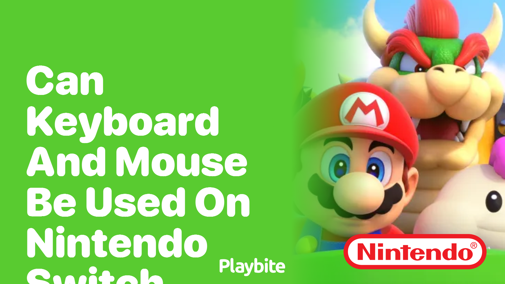 Can Keyboard and Mouse Be Used on Nintendo Switch?