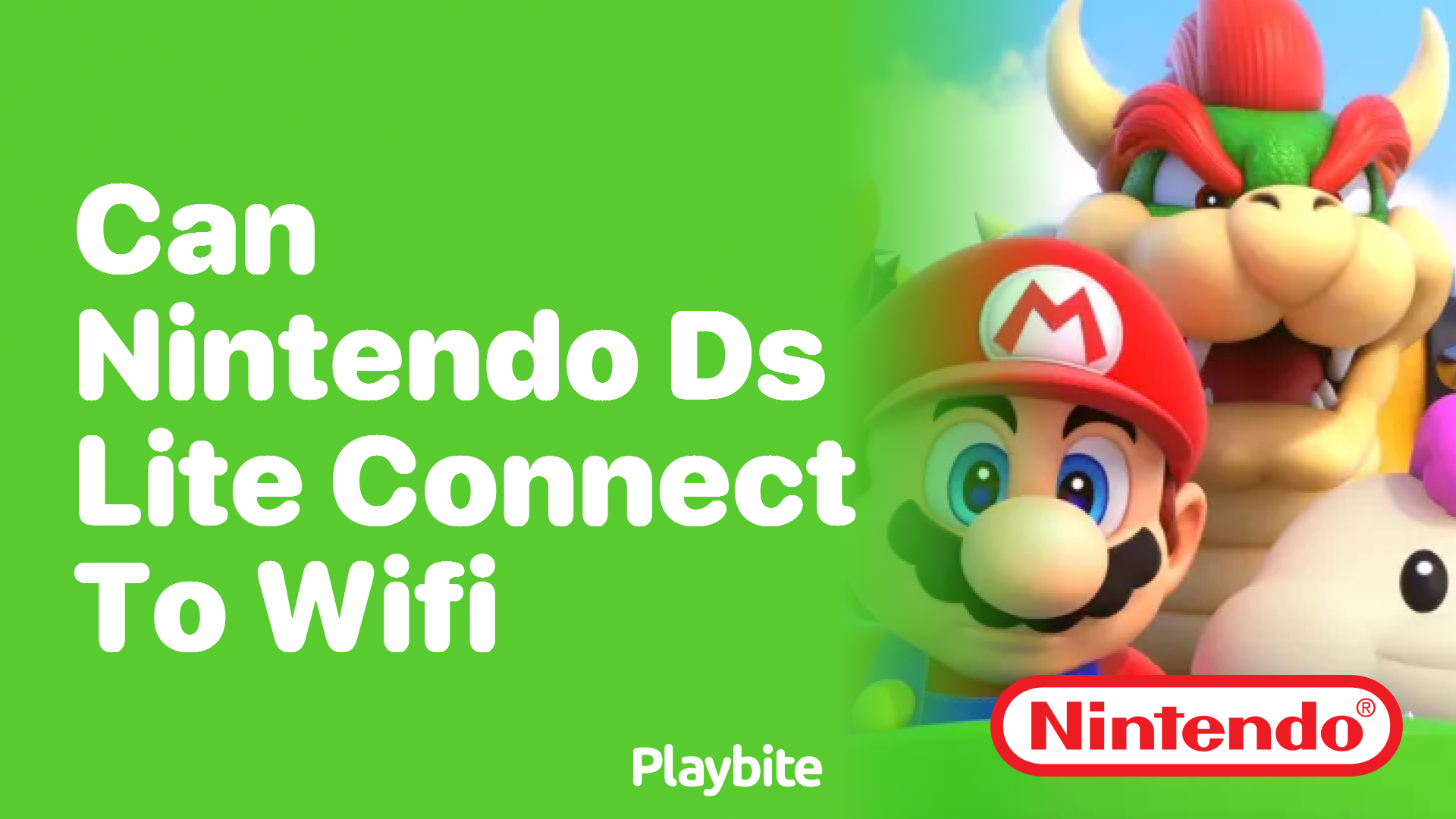 Can Nintendo DS Lite Connect to WiFi?