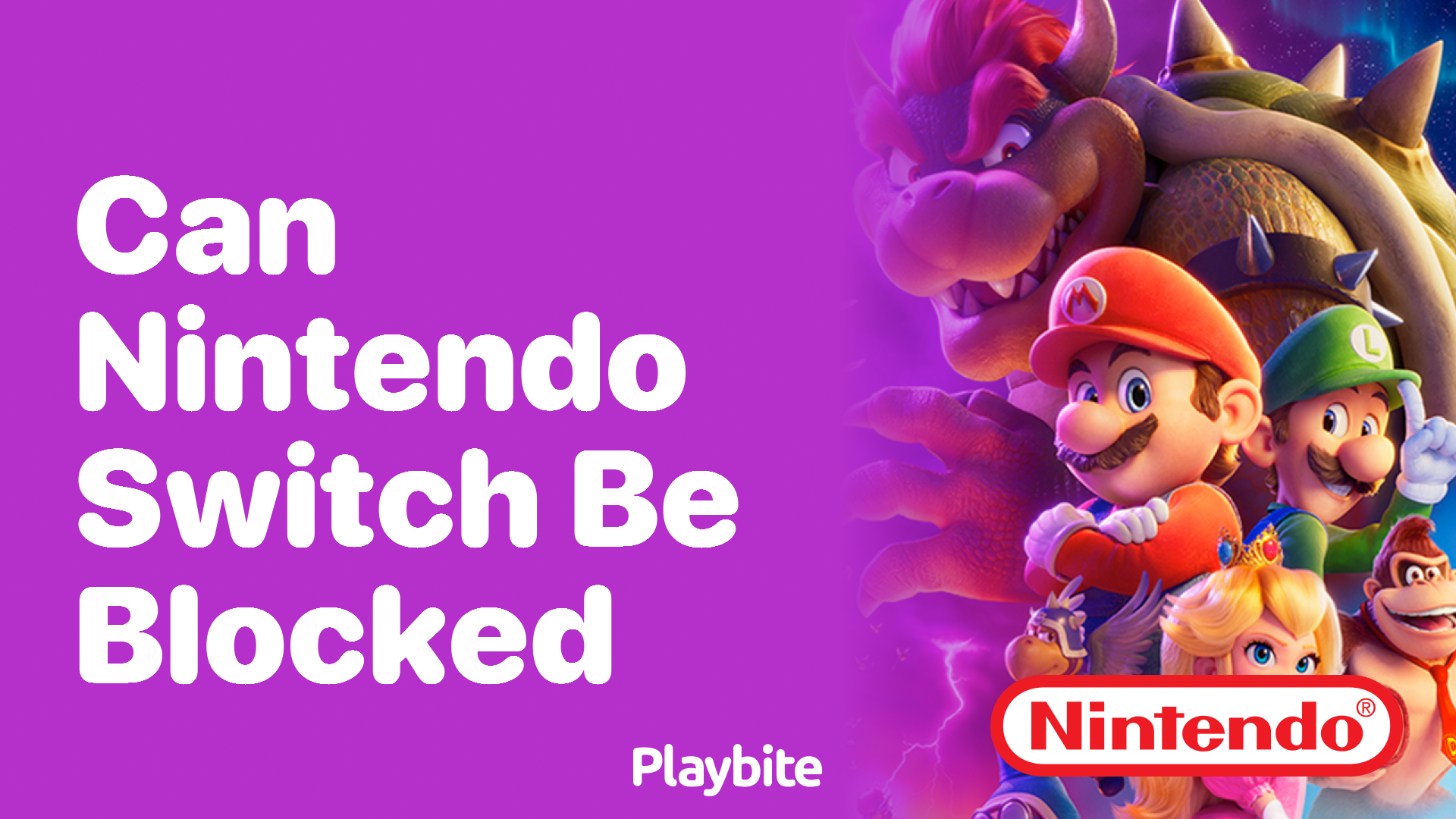 Can a Nintendo Switch Be Blocked?