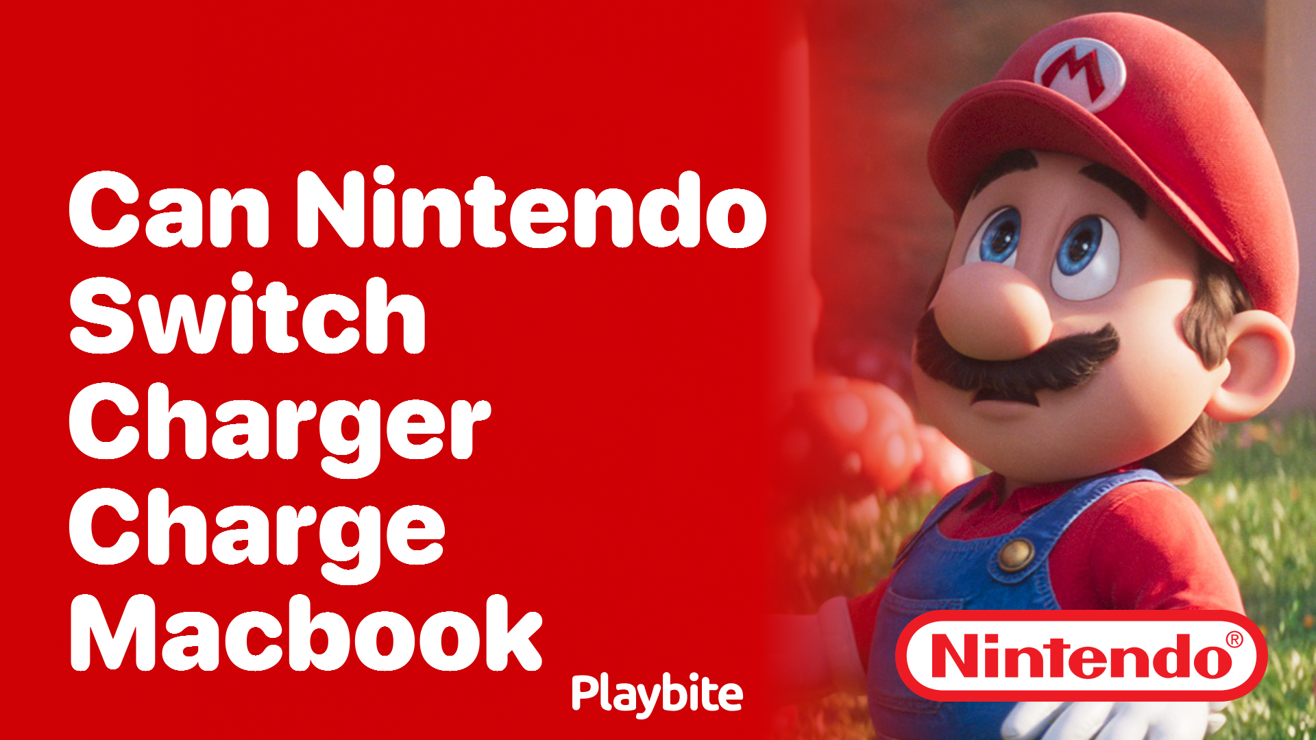 Can a Nintendo Switch Charger Charge a MacBook?