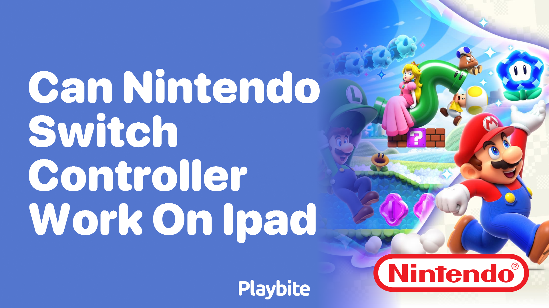 Can a Nintendo Switch Controller Work on an iPad?