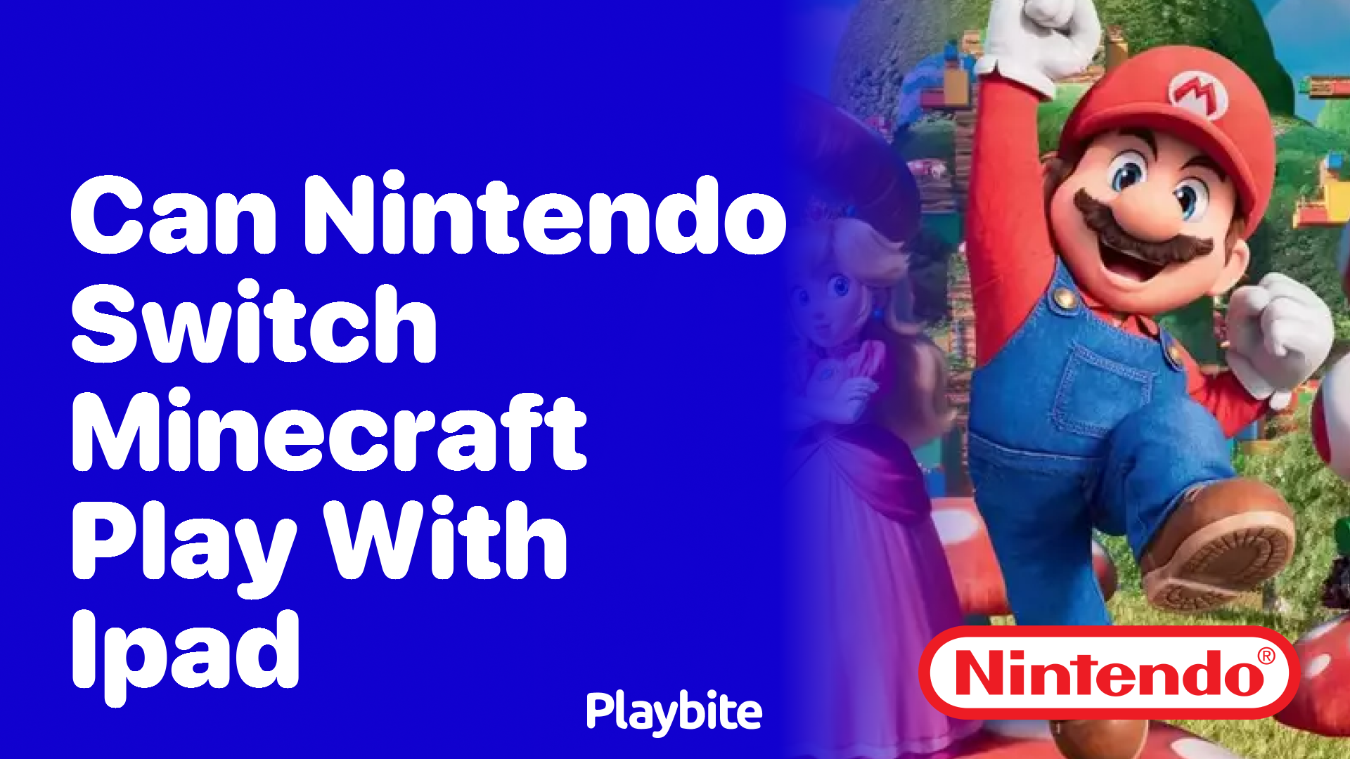 Can Nintendo Switch Minecraft Play With iPad?