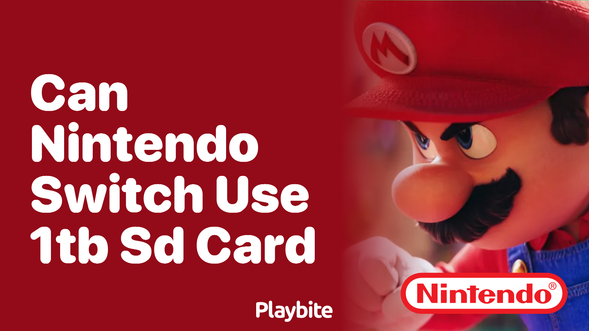 Can the Nintendo Switch Use a 1TB SD Card?