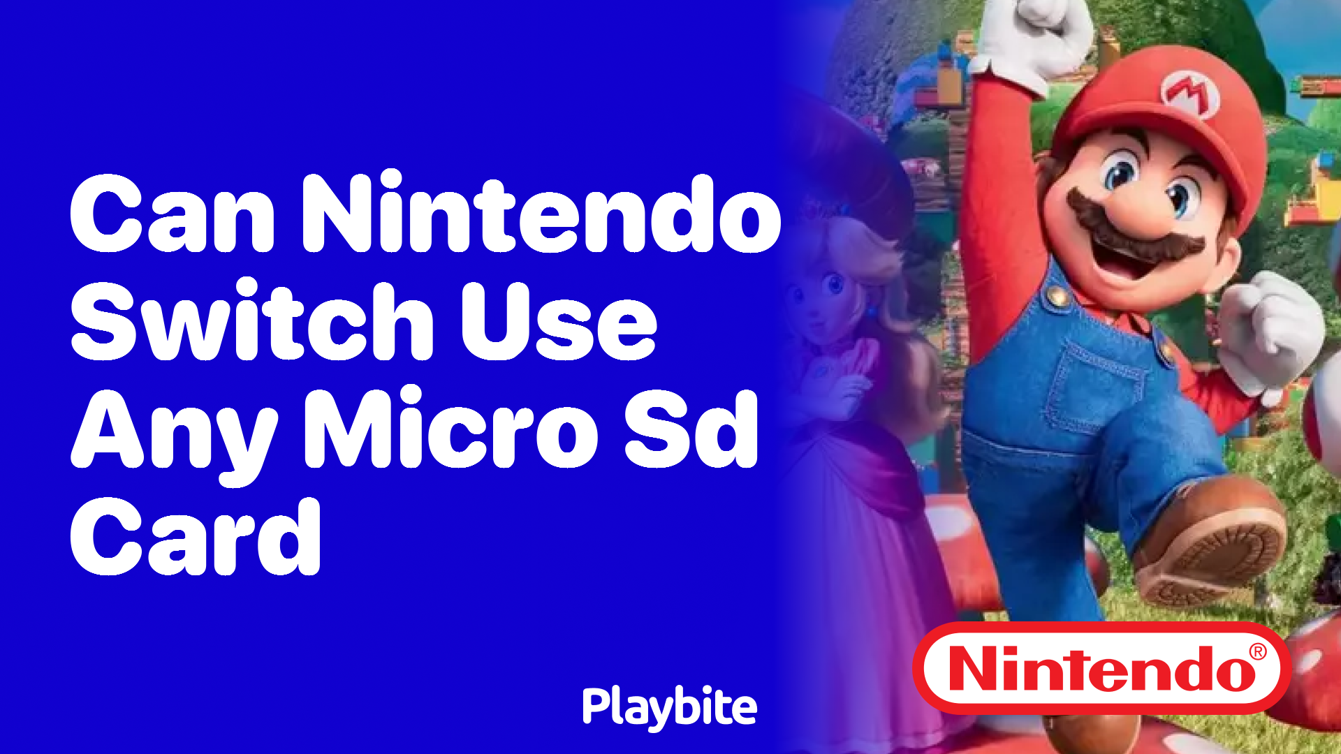 Can Nintendo Switch Use Any Micro SD Card?
