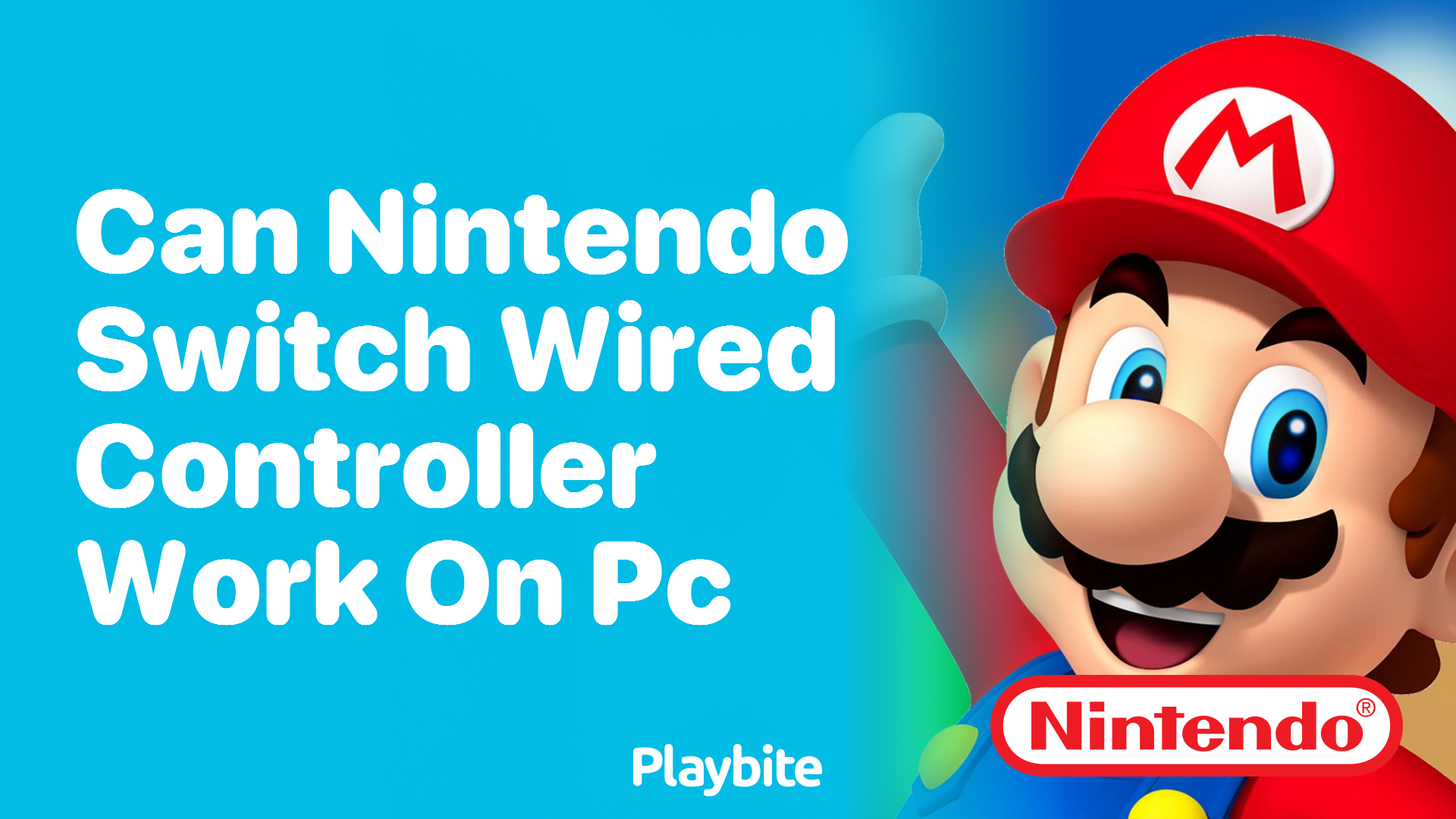 Can Nintendo Switch Wired Controllers Work on PC?
