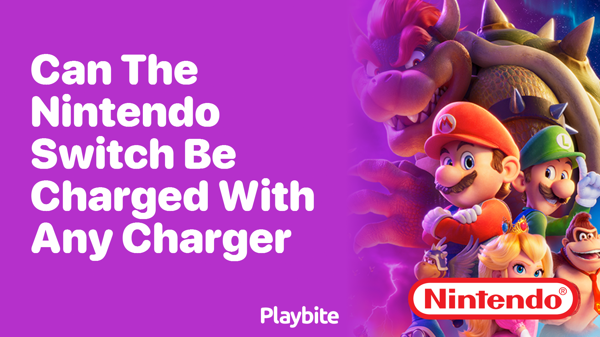 Can the Nintendo Switch Be Charged With Any Charger?
