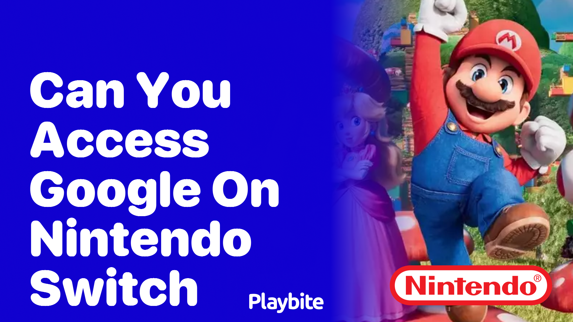 Can You Access Google on Nintendo Switch?