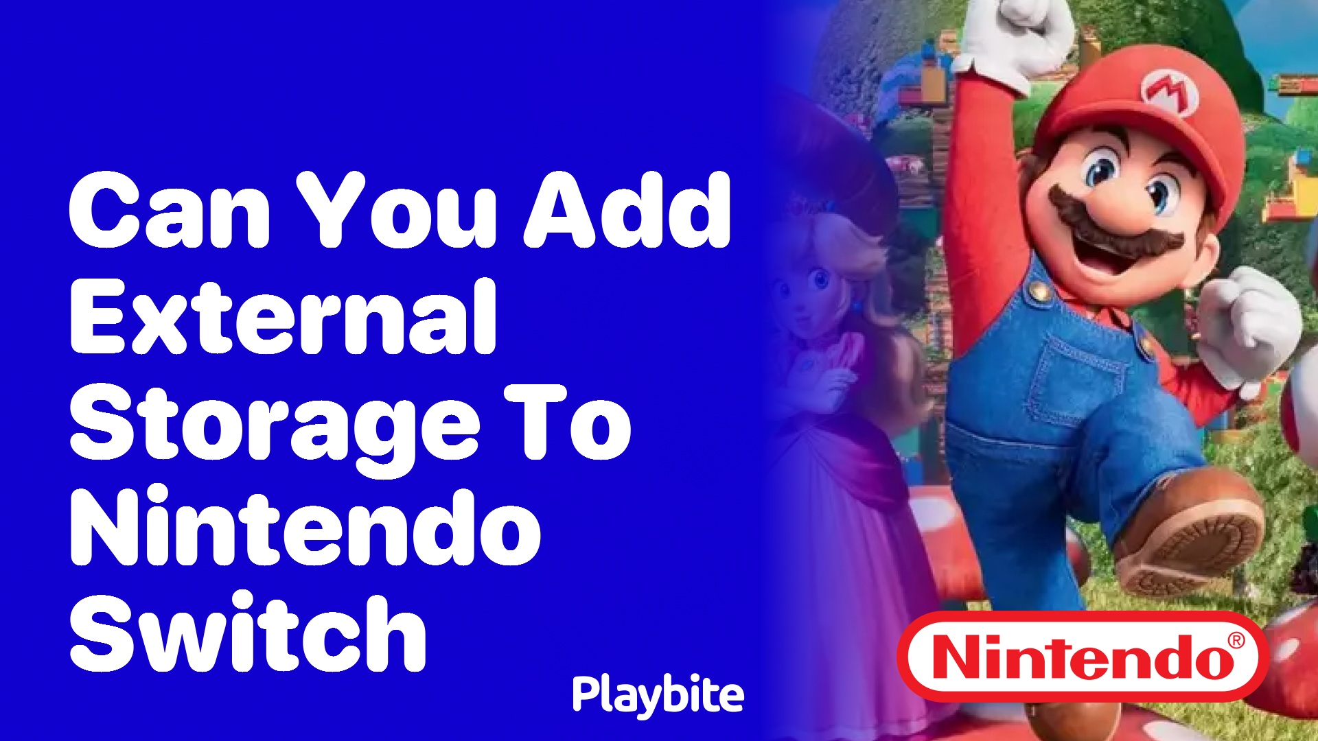 Can You Add External Storage to Your Nintendo Switch?