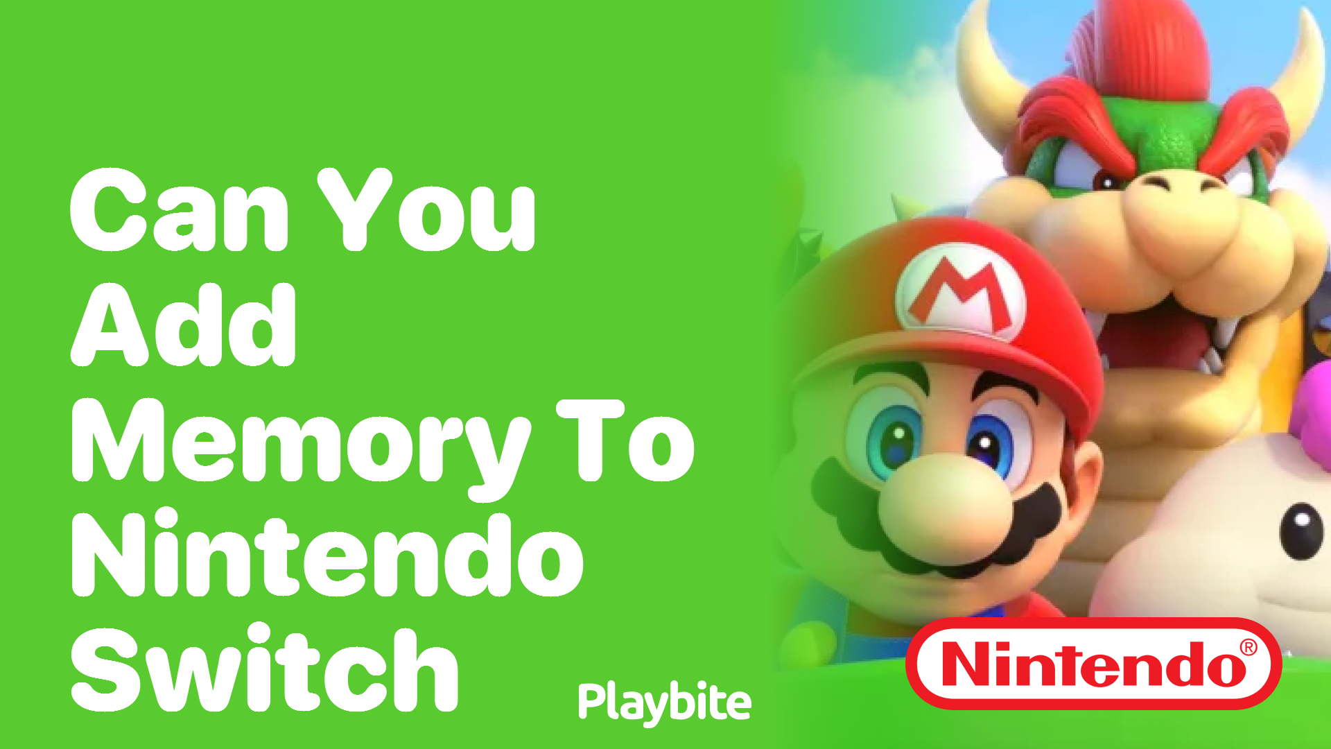 Can You Add Memory to Nintendo Switch?