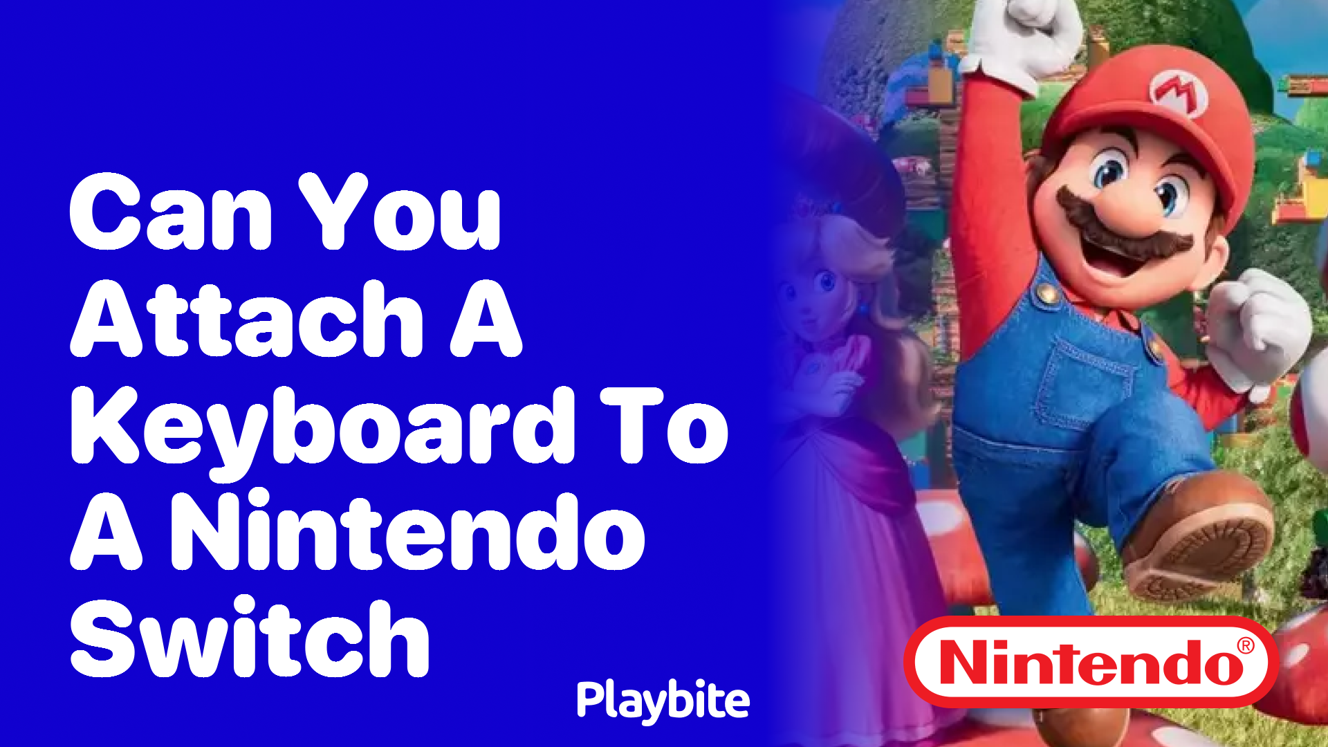 Can You Attach a Keyboard to a Nintendo Switch?