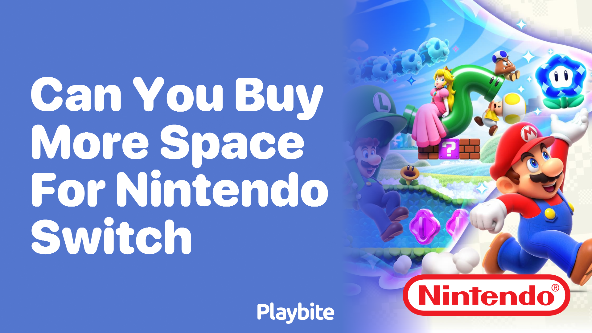 Can You Buy More Space for Your Nintendo Switch?