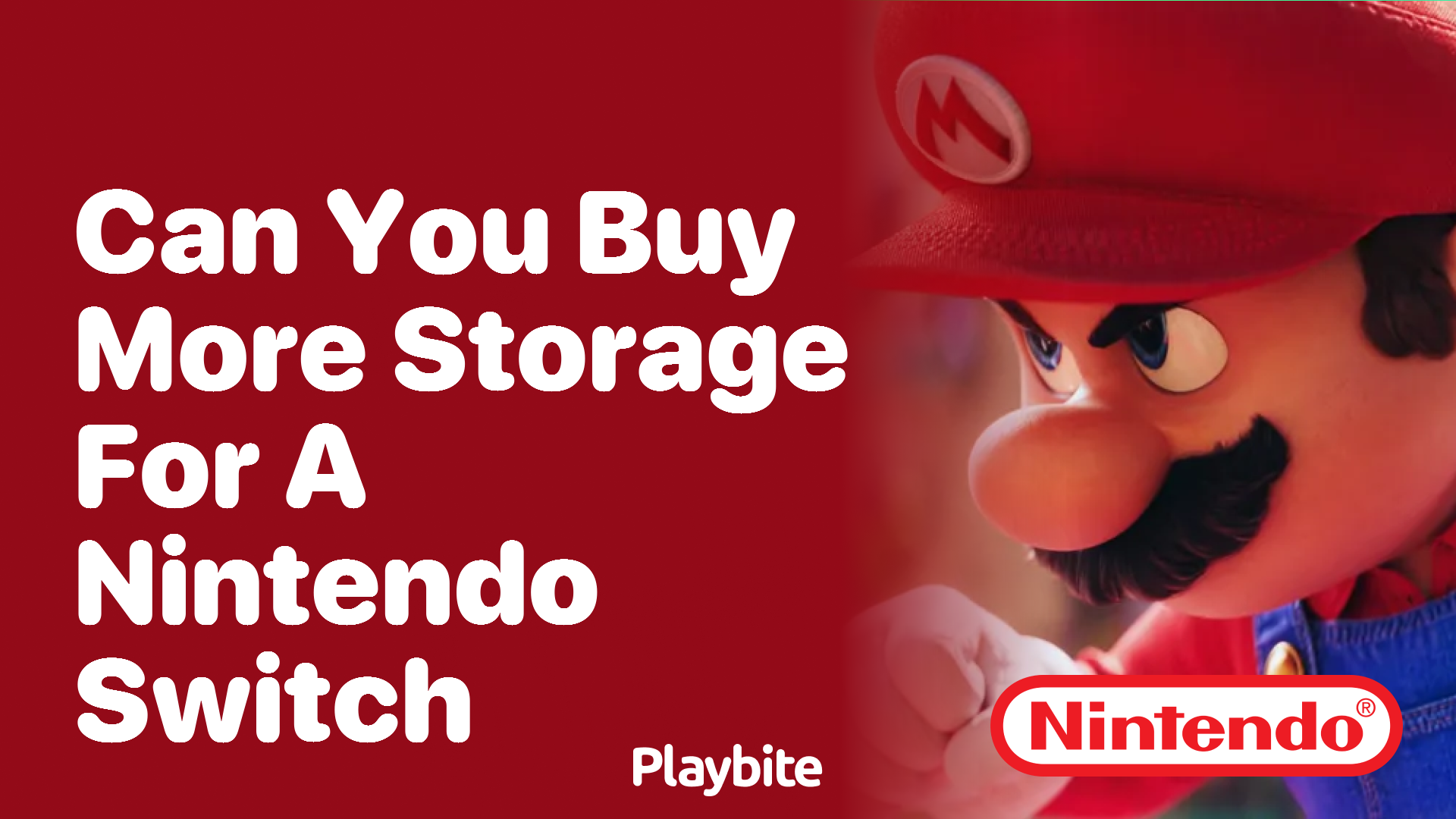 Can You Buy More Storage for a Nintendo Switch?