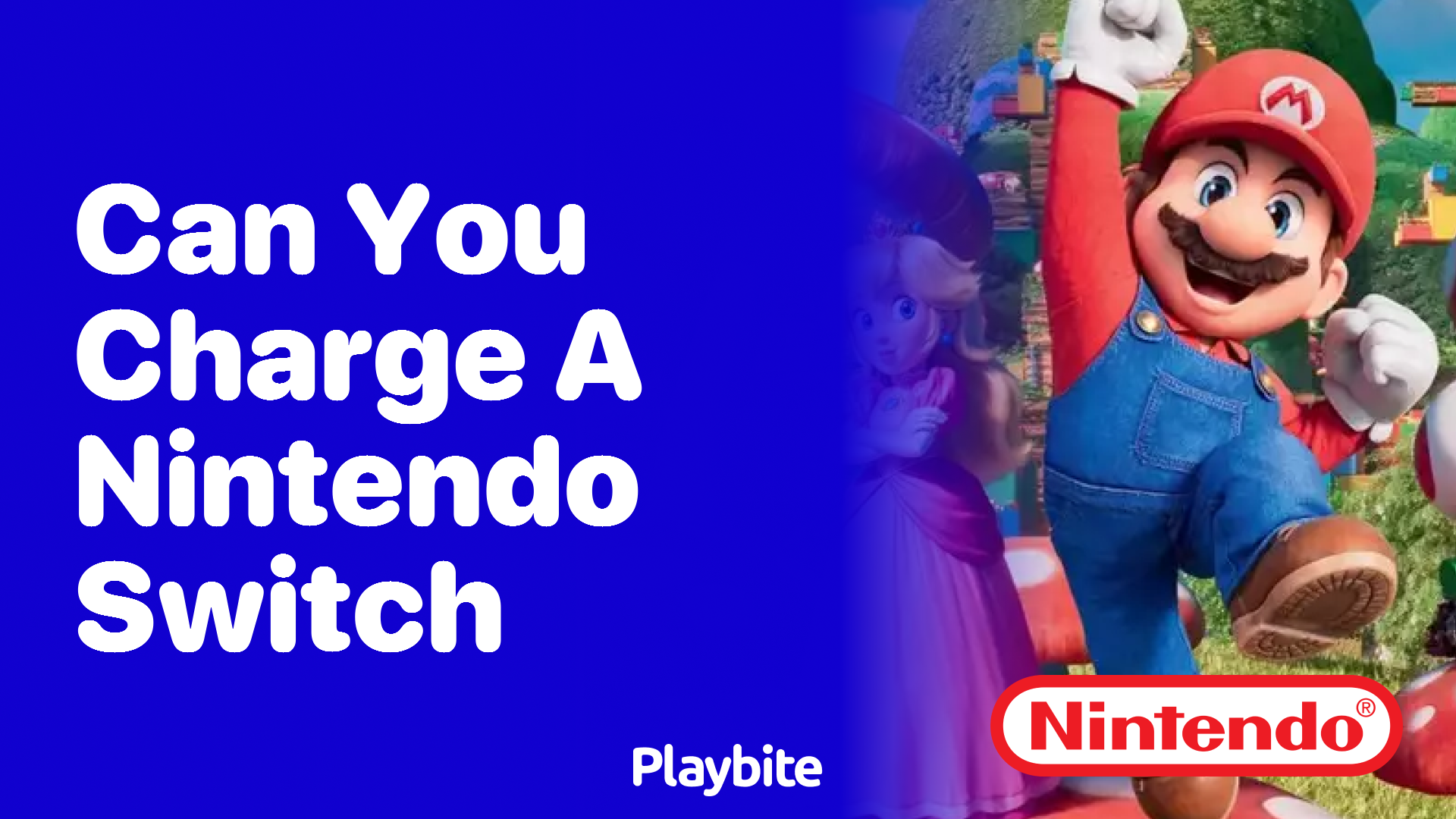Can You Charge a Nintendo Switch?