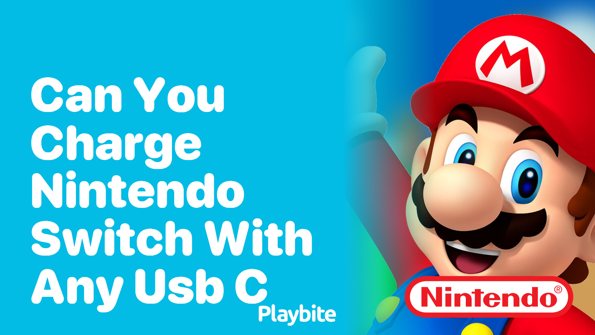 Can You Charge a Nintendo Switch with Any USB-C Cable?