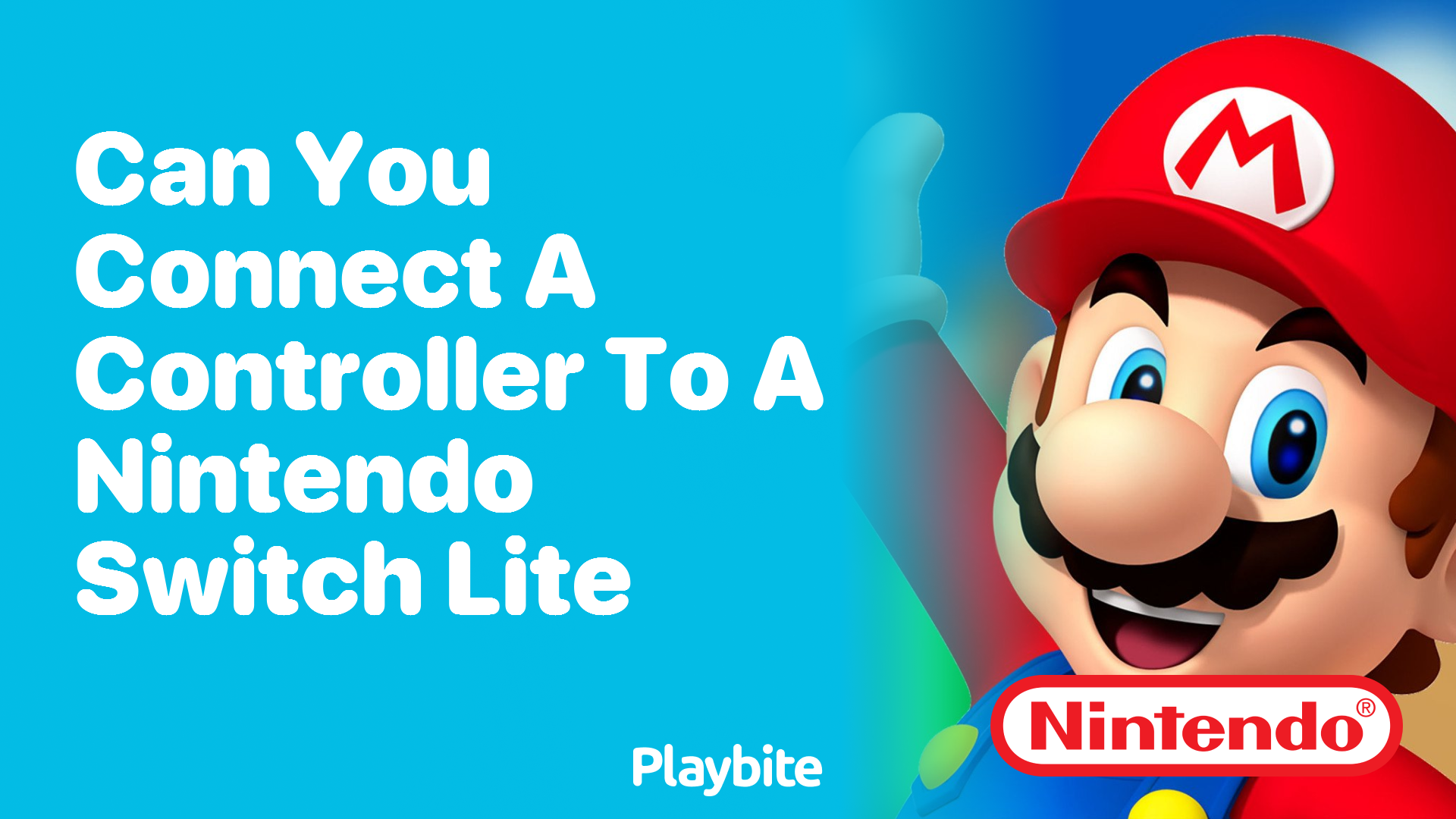 Can You Connect a Controller to a Nintendo Switch Lite?