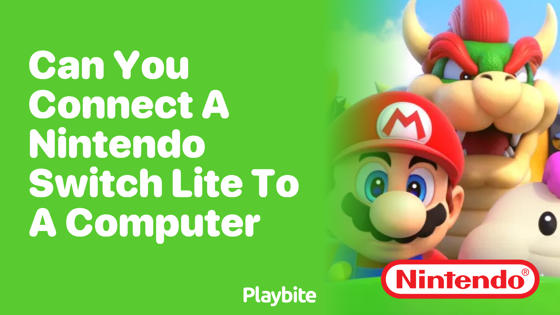 Can You Connect a Nintendo Switch Lite to a Computer?