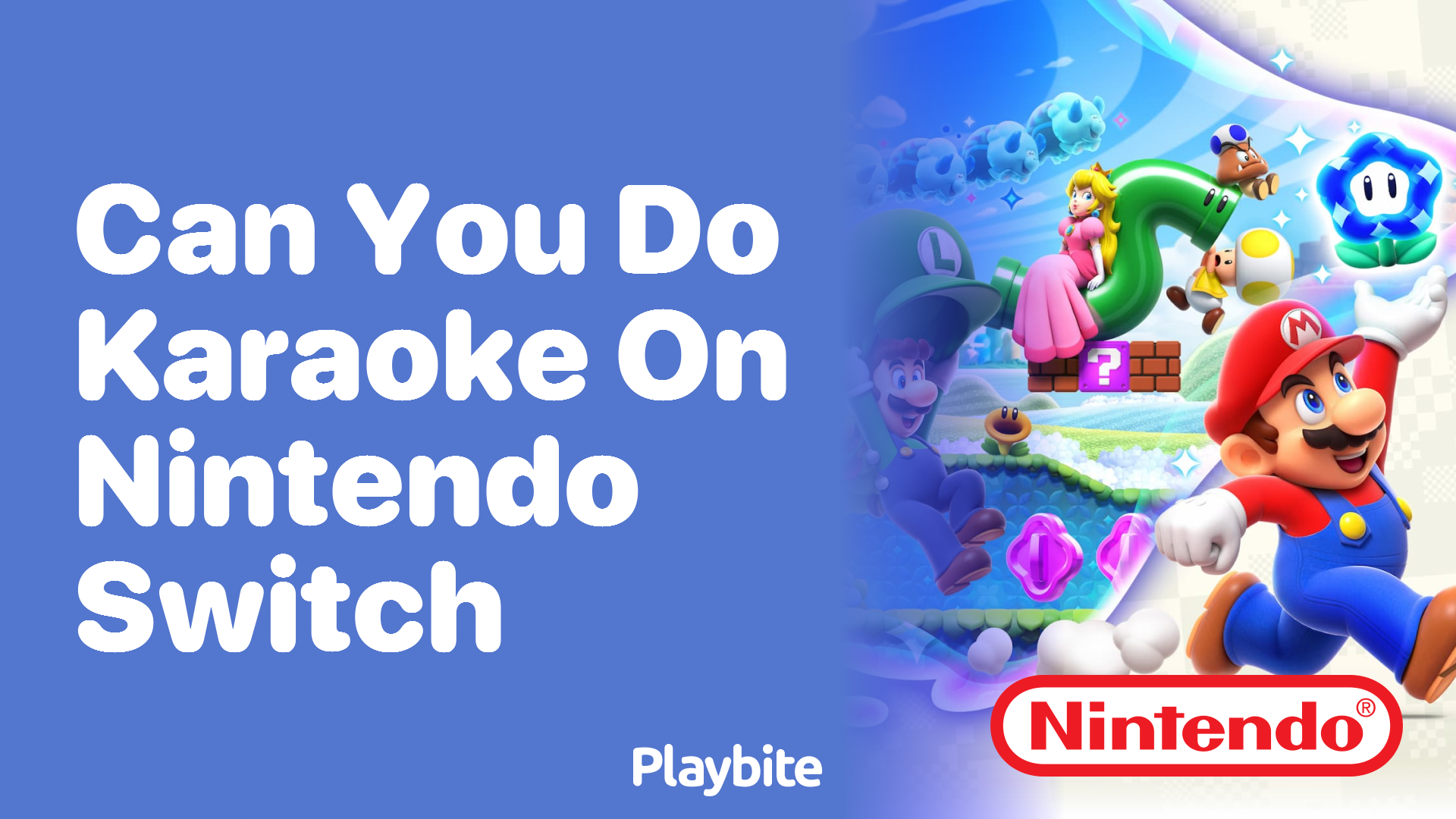 Can You Do Karaoke on Nintendo Switch?