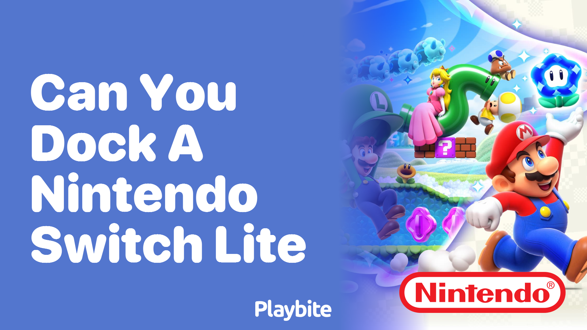 Can You Dock a Nintendo Switch Lite? Let’s Find Out!