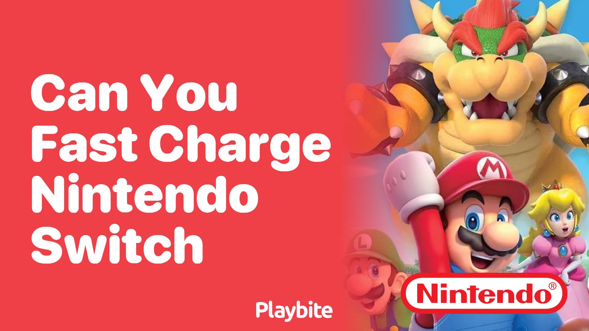 Can You Fast Charge Your Nintendo Switch?