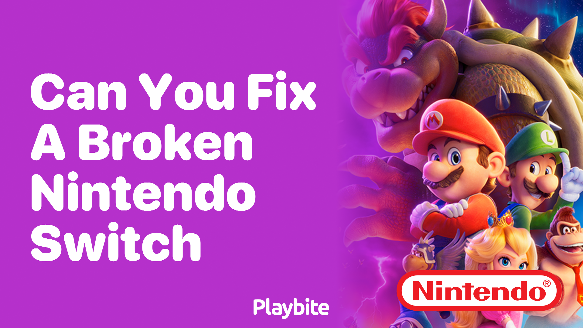 Can You Fix a Broken Nintendo Switch?