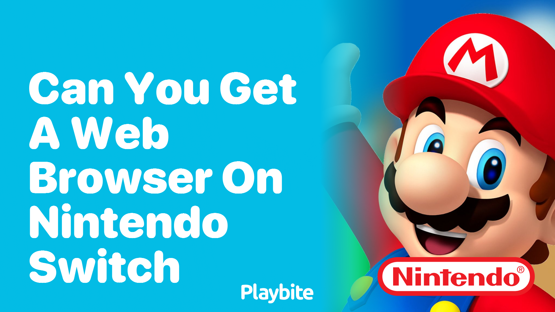 Can You Get a Web Browser on Nintendo Switch?
