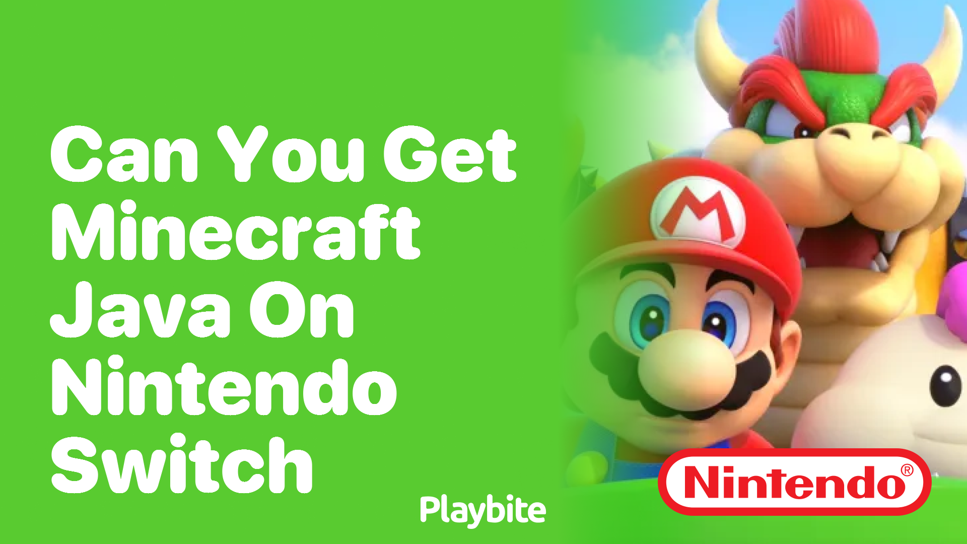 Can You Get Minecraft Java on Nintendo Switch?