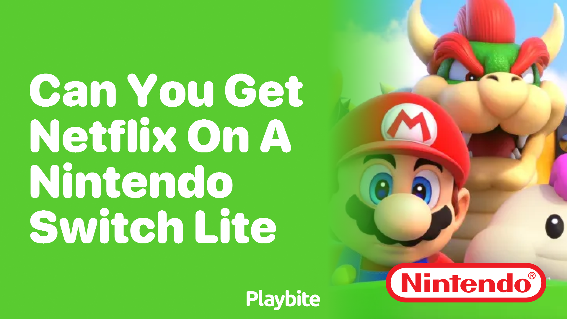 Can You Get Netflix on a Nintendo Switch Lite?
