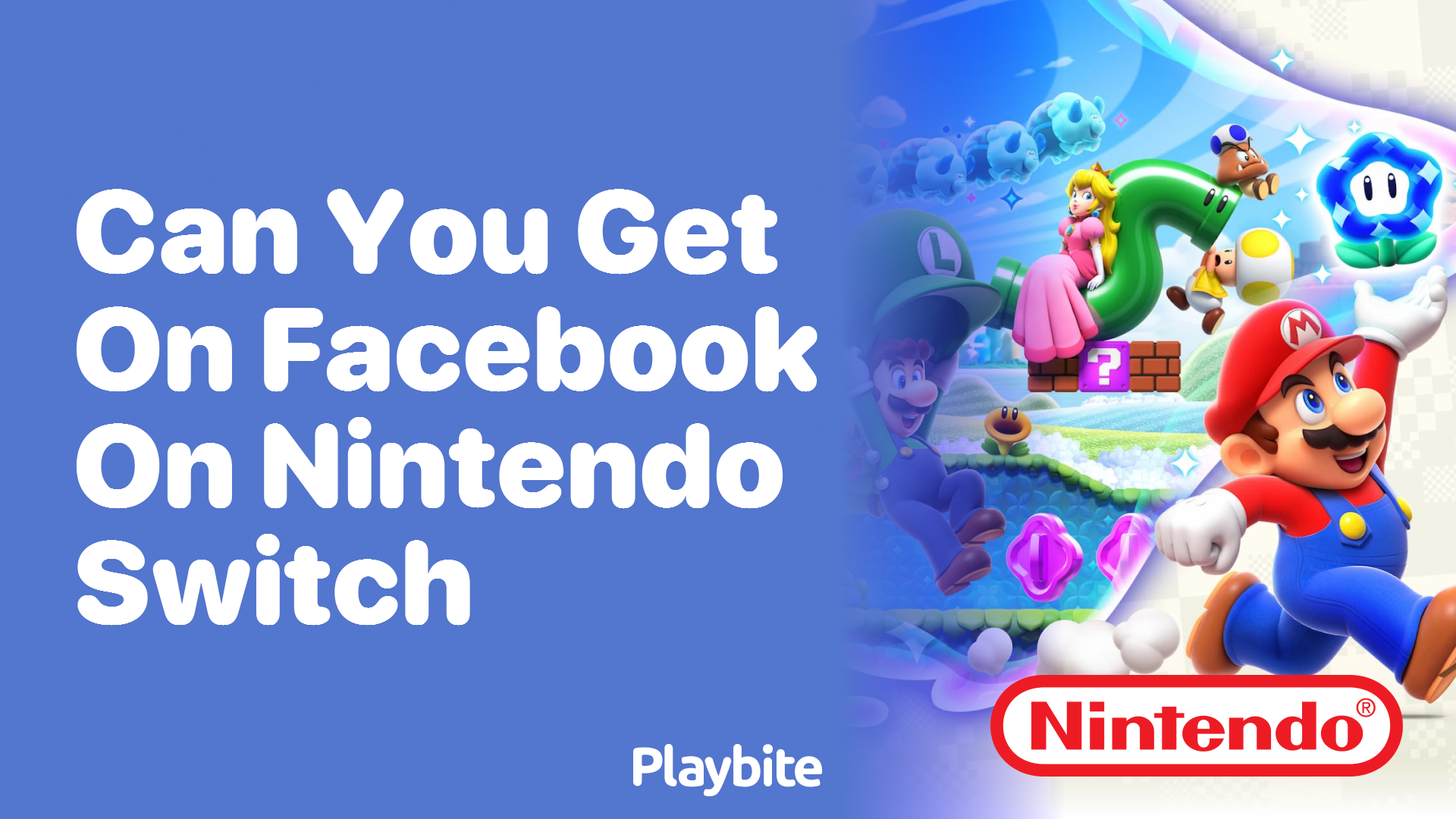 Can You Access Facebook on Nintendo Switch?